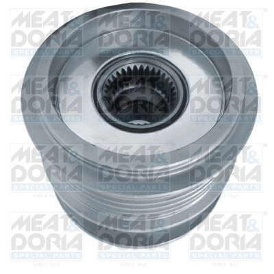 Alternator Freewheel Clutch